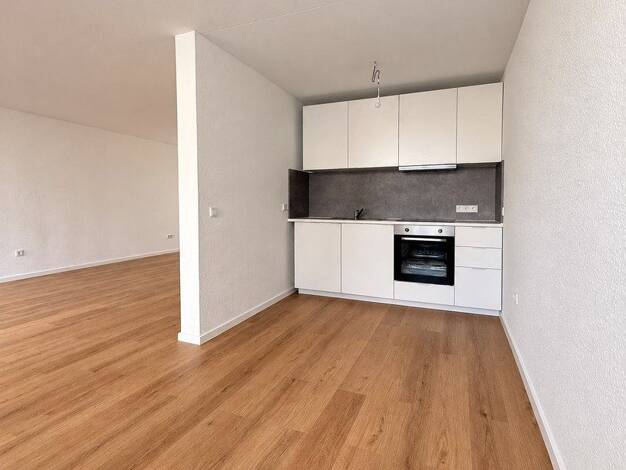 Wohnung zur Miete 580 € 1,5 Zimmer 46 m² 2. Geschoss Schwedlerstraße 116 Friesenheim/Nord Ludwigshafen am Rhein 67063