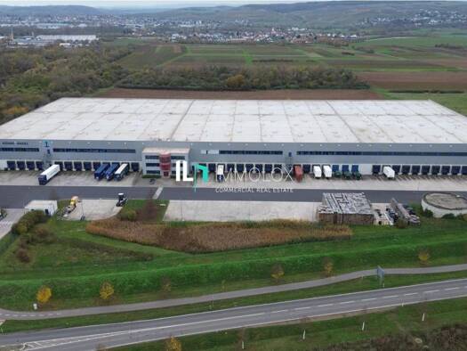 Lagerhalle zur Miete 25.000 m² Lagerfläche teilbar ab 7.000 m² Grolsheim 55459