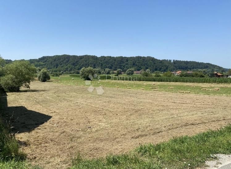 Land-/Forstwirtschaft zum Kauf 160.000 € Selnica 49246