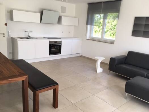 Wohnung zur Miete 760 € 2 Zimmer 59 m² EG Heinrich-von-Stein-Straße 71 Freystadt Freystadt 92342