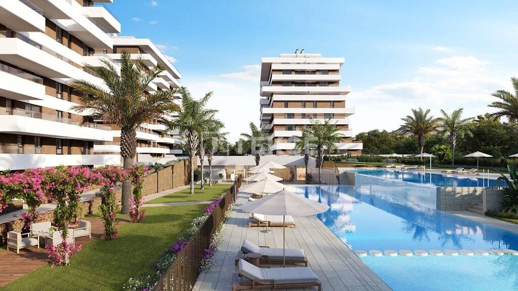 Studio zum Kauf 480.000 € 4 Zimmer 111 m² EG Alicante 03570