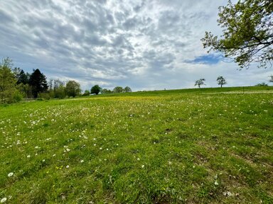 Mehrfamilienhaus zum Kauf 570.000 € 9 Zimmer 280 m² 4.500 m² Grundstück Mietingen Mietingen 88487