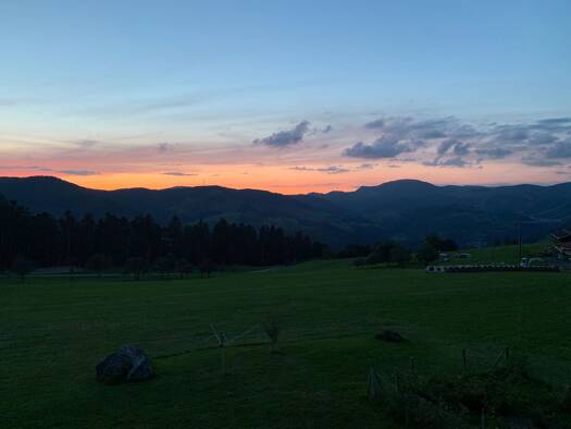 Wohnung zum Kauf provisionsfrei 125.000 € 2 Zimmer 60 m² Geschoss 1/3 Häg-Ehrsberg 79685