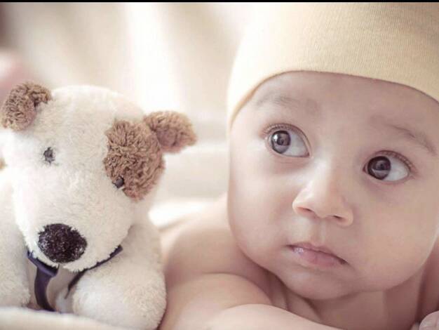 Einfamilienhaus zum Kauf provisionsfrei 466.500 € 5 Zimmer 145 m² 988 m² Grundstück Schneckengrün 08527