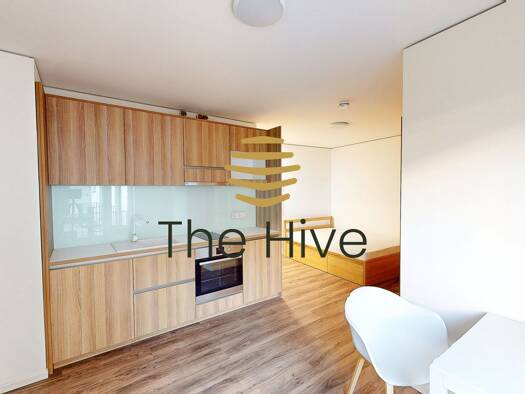 Wohnung zur Miete 690 € 1 Zimmer 24,1 m² 1. Geschoss Rosensteinstraße Nord Stuttgart 70191