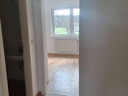 Wohnung zur Miete 389 € 1 Zimmer 55,6 m² frei ab sofort Chausseestraße 8 Joachimsthal 16247