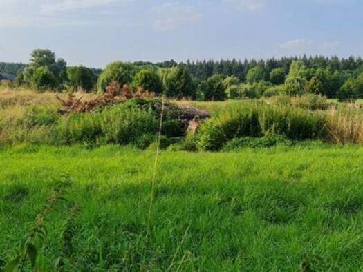 Grundstück zum Kauf 1.000.000 € 41.300 m² Grundstück Wustrow Penzlin 17217