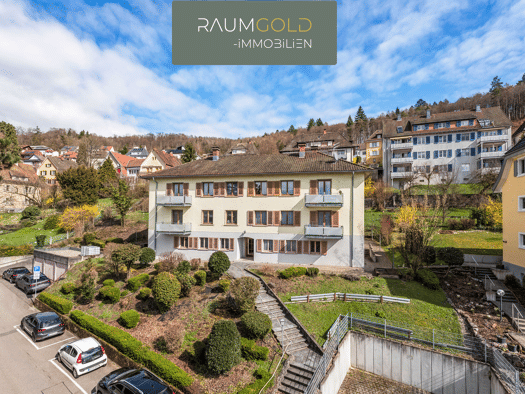 Mehrfamilienhaus zum Kauf als Kapitalanlage geeignet 698.000 € 14 Zimmer 390 m² 1.450 m² Grundstück Waldshut Waldshut-Tiengen 79761