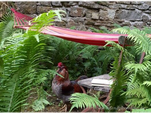 Haus zum Kauf 298.000 € 205 m² 887 m² Grundstück frei ab sofort Weiltingen 91744