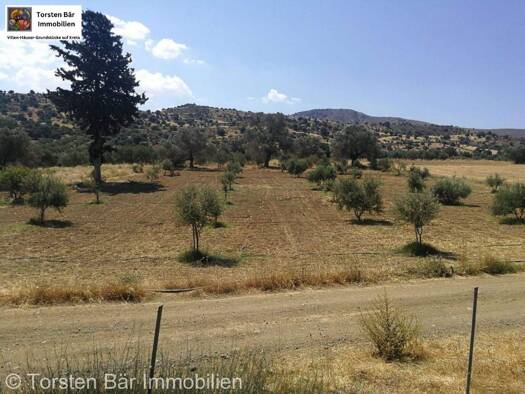 Grundstück zum Kauf 65.000 € 800 m² Grundstück Sivas 702 00