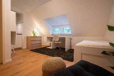 Wohnung zur Miete 430 € 1 Zimmer 22 m² Dachgeschoss Maximin 1 Trier 54292