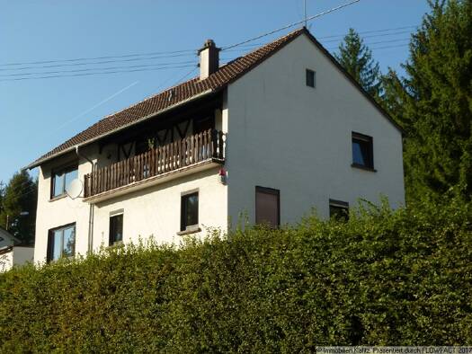 Einfamilienhaus zum Kauf 197.500 € 8 Zimmer 169 m² 889 m² Grundstück Hirschhorn 67732