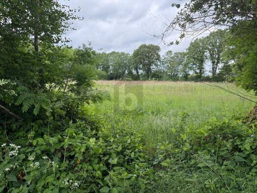 Land-/Forstwirtschaft zum Kauf 350.000 € 10.164 m² Grundstück Lutzhorn 25355