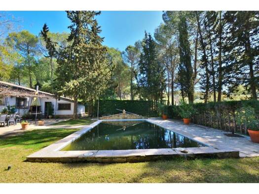 Acker-/Waldstück zum Kauf 490.000 € Ronda 29400