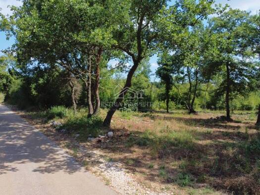 Wohn- und Gewerbegrundstück zum Kauf 140.000 € Baderna, Poreč Poreč 52440
