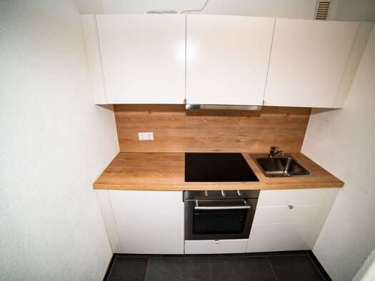 Wohnung zur Miete 370 € 1 Zimmer 26,3 m² Geschoss 1/6 frei ab sofort Baslerstraße 23 B Brombach Lörrach 79540