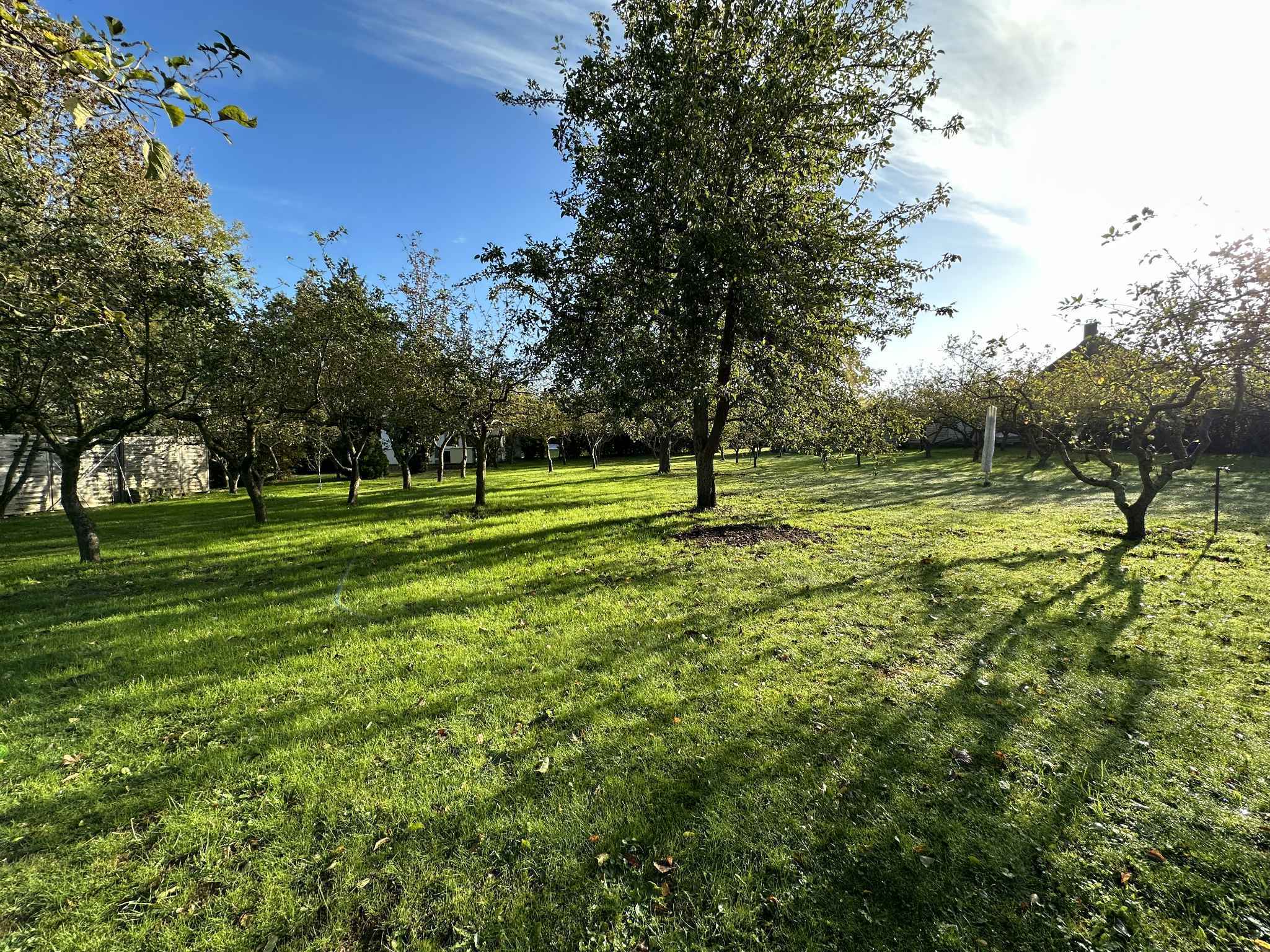 Property thumbnail 36