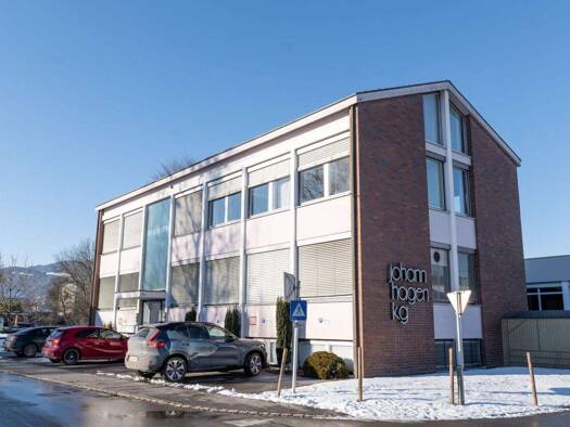 Produktionshalle zur Miete 8,52 € 305 m² Lagerfläche Lustenau 6890