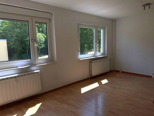Wohnung zur Miete 319 € 3 Zimmer 54 m² EG frei ab sofort Richard-Paulick-Straße 19 Südliche Neustadt West 06124