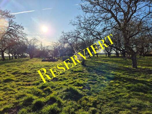 Mehrfamilienhaus zum Kauf 299.000 € 8 Zimmer 520 m² 8.980 m² Grundstück Schmolde Meyenburg 16945