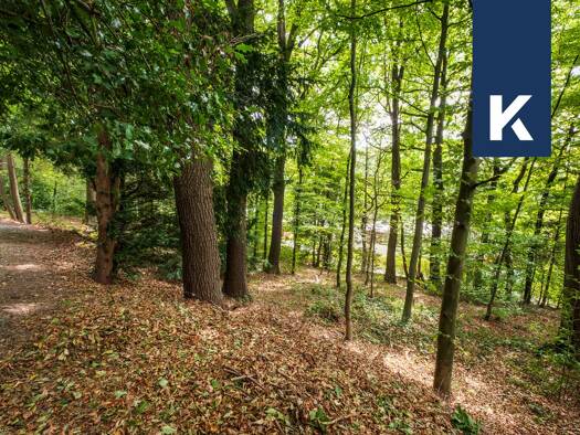 Grundstück zum Kauf 375.000 € 1.000 m² Grundstück Im Kläfberg 22 Hoffnungsthal Rösrath 51503