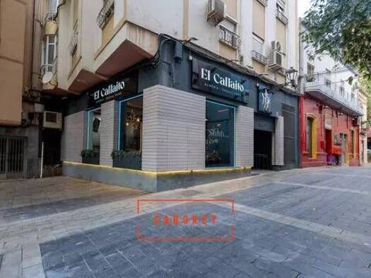 Verkaufsfläche zum Kauf 485.000 € 250 m² Verkaufsfläche Calle Martínez Almagro, 8 Almeria 04001