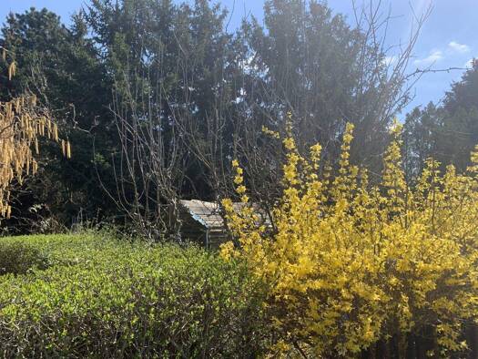 Grundstück zum Kauf 269.900 € 640 m² Grundstück Wahren Leipzig 04159