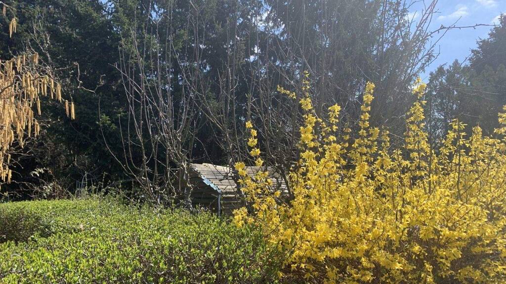 Grundstück zum Kauf 269.900 € 640 m² Grundstück Wahren Leipzig 04159