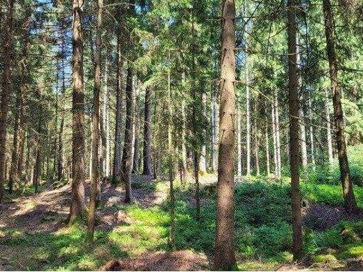 Sonstiges zum Kauf provisionsfrei 13.578 m² Grundstück Roidham Teisendorf 83317