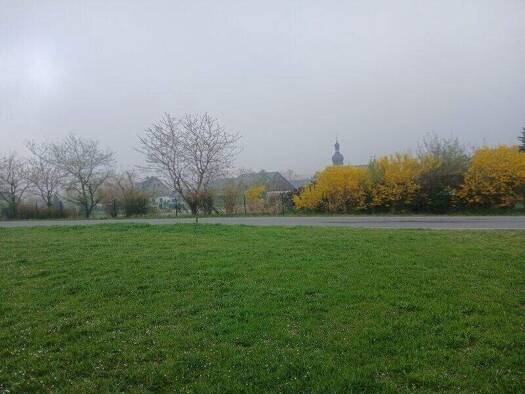 Grundstück zum Kauf 10.400 € 260 m² Grundstück Eliasbrunn Remptendorf 07368