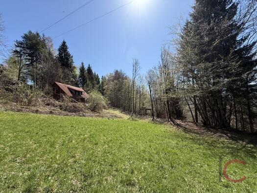 Grundstück zum Kauf 137.000 € 4.194 m² Grundstück Ludmannsdorf 9072