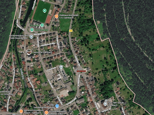 Land-/Forstwirtschaft zum Kauf provisionsfrei 5.900 € 1.168 m² Grundstück Calmbach Bad Wildbad 75323