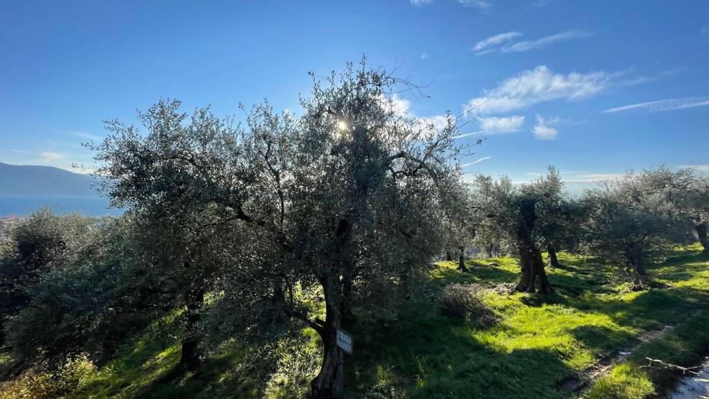 Grundstück zum Kauf 298.000 € 4.985 m² Grundstück Toscolano 25088