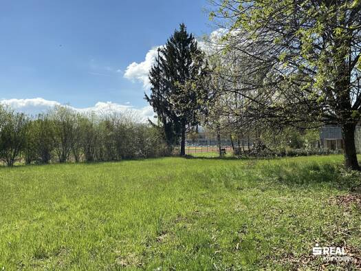 Grundstück zum Kauf 699.000 € 961 m² Grundstück Mühlefeldstraße Lustenau 6890