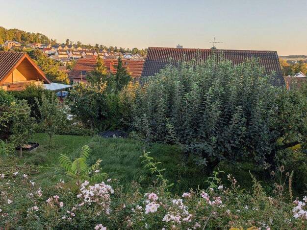 Grundstück zum Kauf provisionsfrei 99.000 € 259 m² Grundstück Gondelsheim 75053