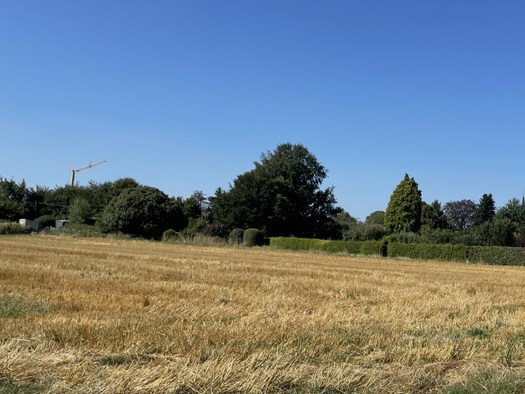 Grundstück zum Kauf 1.200.000 € 7.500 m² Grundstück frei ab sofort Rath-Anhoven Wegberg 41844