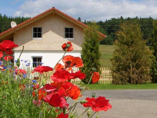 Einfamilienhaus zur Miete 3 Zimmer 120 m² frei ab sofort Oberdigisheim Meßstetten 72469