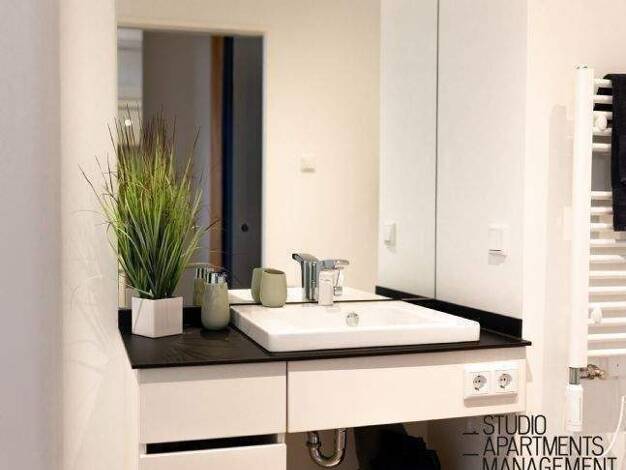 Studio zur Miete 750 € 1 Zimmer 29 m² frei ab 01.03.2026 Bechmann-Rahn-Weg 2 Innenstadt Erlangen 91052