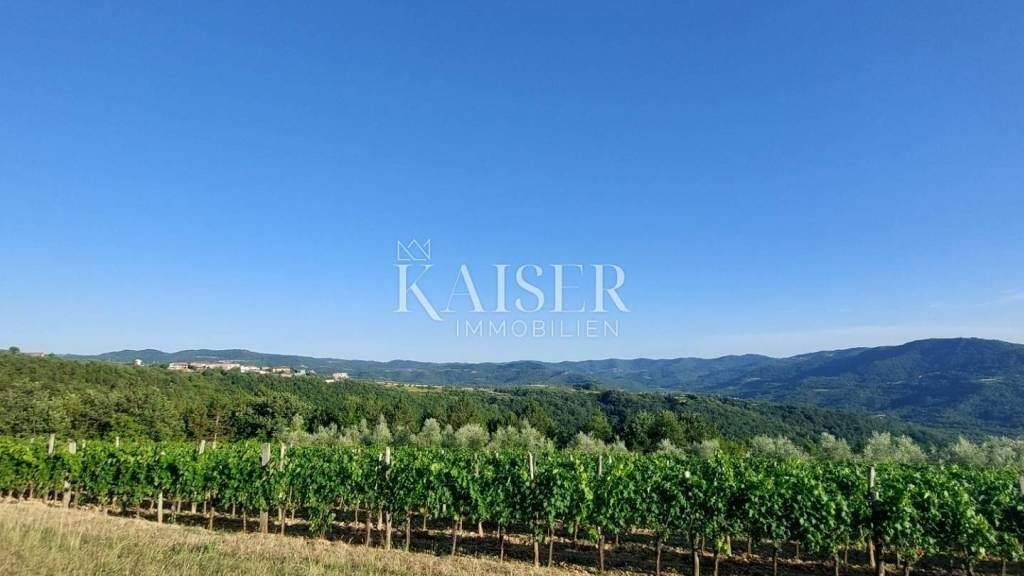 Land-/Forstwirtschaft zum Kauf 385.500 € Buzet Buzet