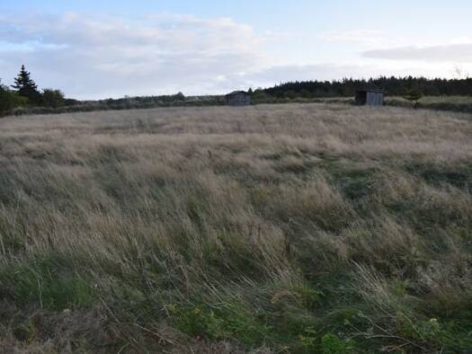 Grundstück zum Kauf 35.000 € 2.334 m² Grundstück Langenhorn 25842