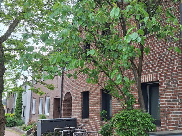 Wohnung zum Kauf provisionsfrei 274.000 € 3 Zimmer 132 m² 1. Geschoss Münsterstraße 65 Haltern Haltern am See 45721