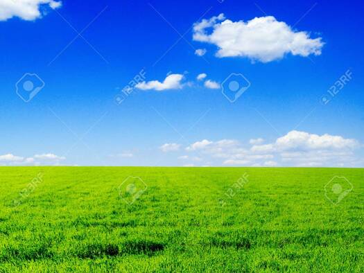 Landwirtschaftliche Fläche zum Kauf Innenstadt Euskirchen 53879