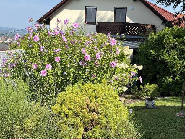 Einfamilienhaus zum Kauf provisionsfrei 650.000 € 4 Zimmer 140 m² 800 m² Grundstück Lugturmstraße 37 Heidenau 01809