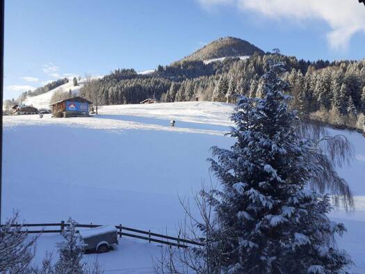 Studio zur Miete 655 € 1 Zimmer 20 m² 1. Geschoss Kirchberg in Tirol 6365