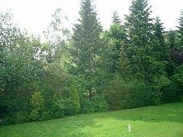 Wohnung zum Kauf 115.000 € 1,5 Zimmer 36 m² Nordstadt Fürth 90765