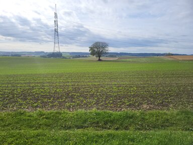 Land-/Forstwirtschaft zum Kauf 28.000 m² Grundstück Niedergeislbach Lengdorf 84435