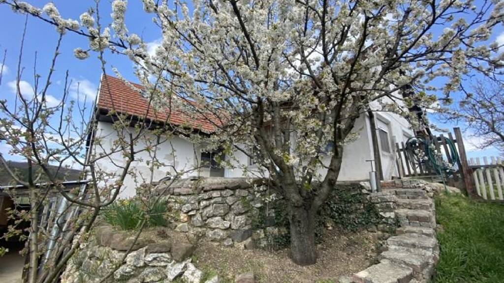 Haus zum Kauf provisionsfrei 130.000 € 4 Zimmer 110 m² 3.521 m² Grundstück Zalaszentgrót 8790