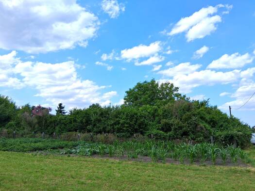Grundstück zum Kauf 199.000 € 1.077 m² Grundstück Luckenwalde Luckenwalde 14943