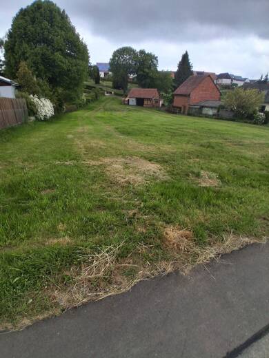 Grundstück zum Kauf provisionsfrei 82.915 € 2.369 m² Grundstück Hainbuchenweg 2 Freienhagen Waldeck 34513