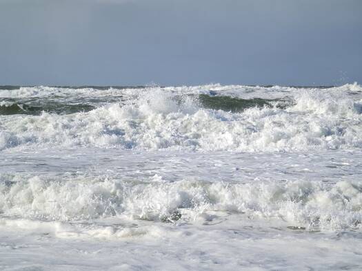 Villa zum Kauf Bern 3001